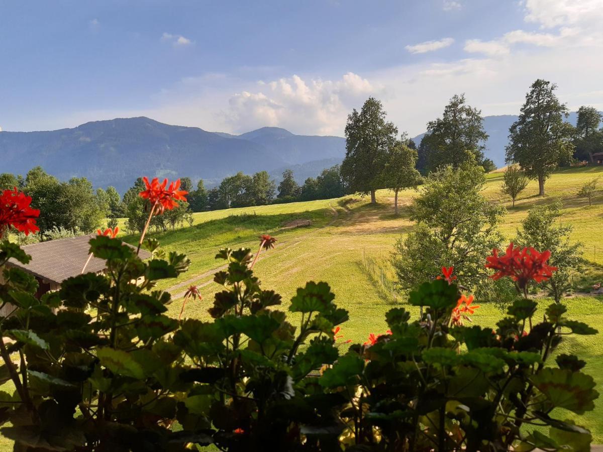 Ferienwohnung Johanna Sankt Georgen im Gailtal ภายนอก รูปภาพ